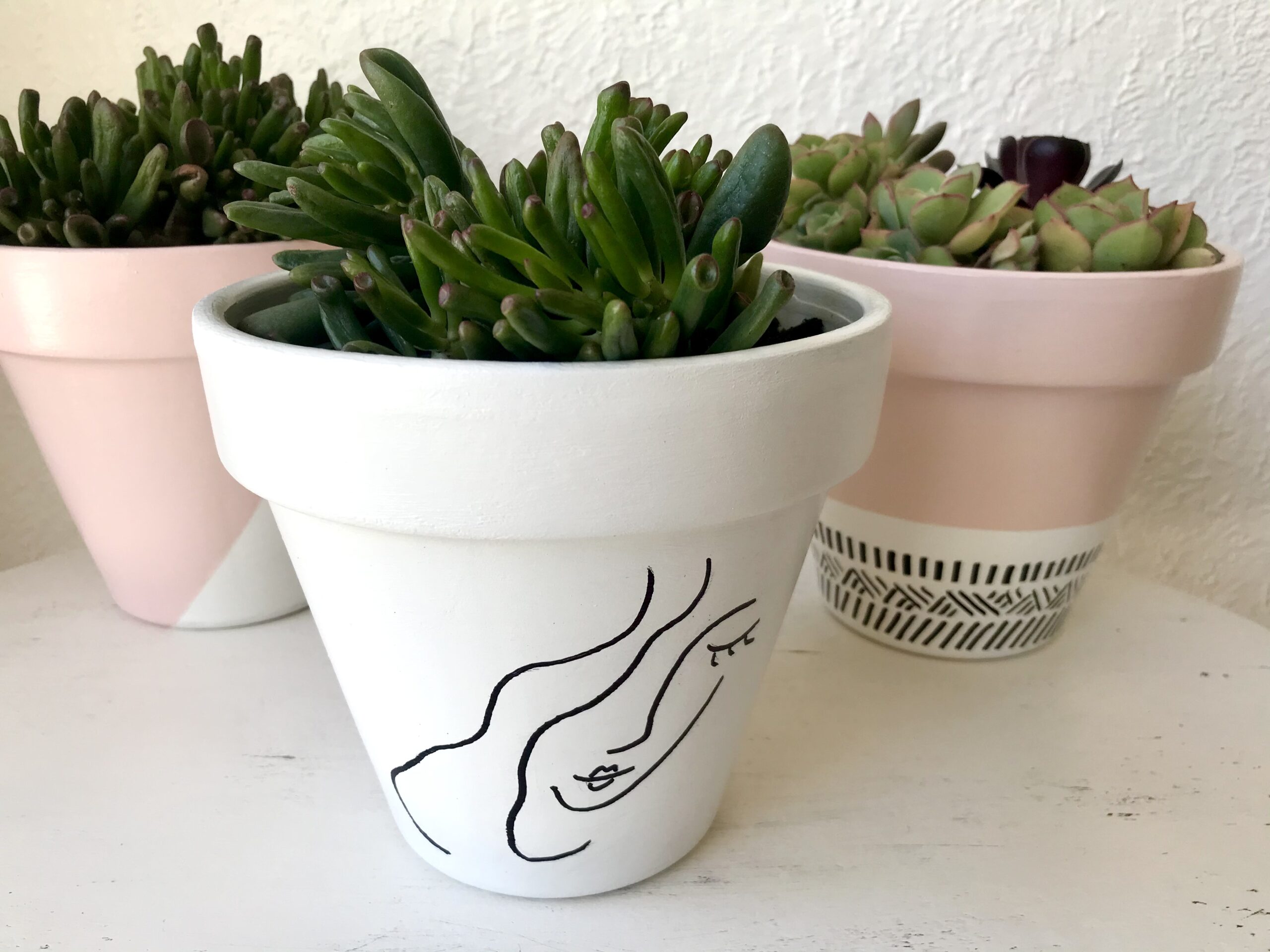 Painted Pot with succulent
