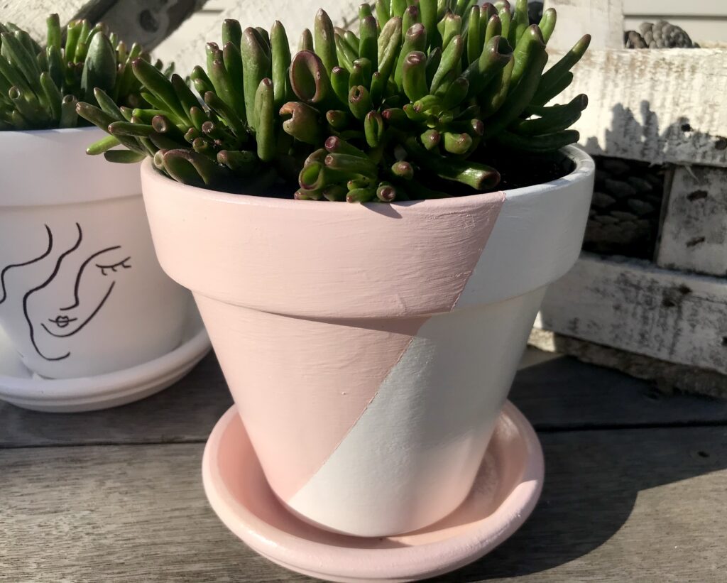 Pink and White Painted Flower Pot